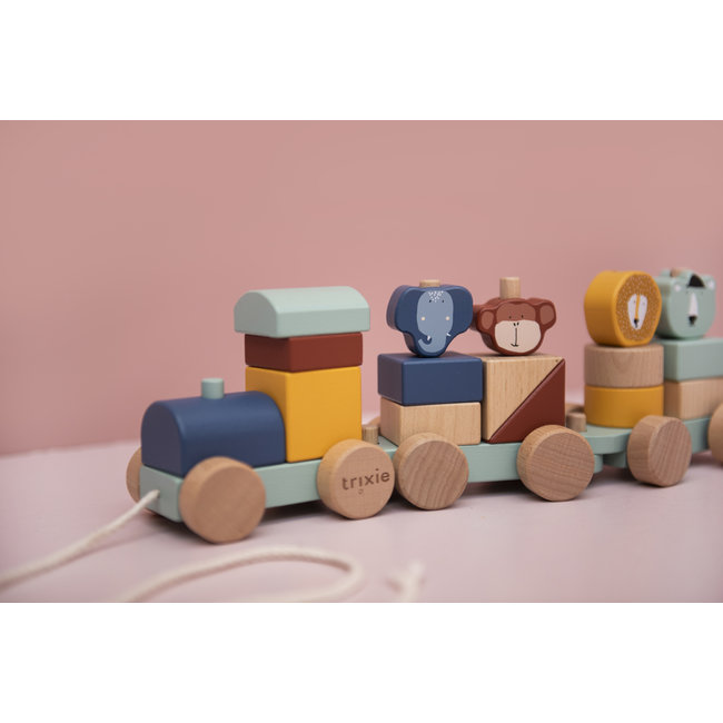 Trixie Baby & Kids Wooden Animal Train