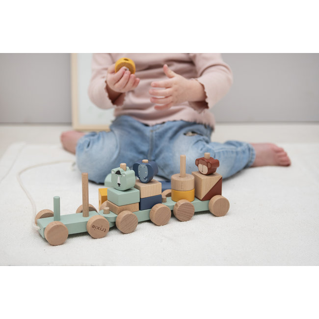 Trixie Baby & Kids Houten Dierentrein