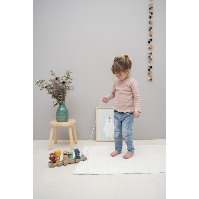 Trixie Baby & Kids Houten Dierentrein