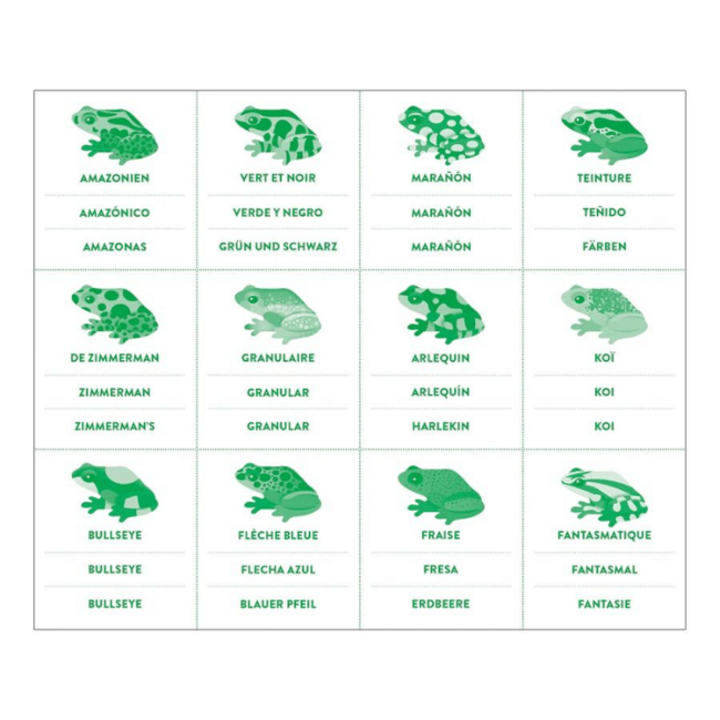 Mudpuppy Memory Game Tropical Frogs