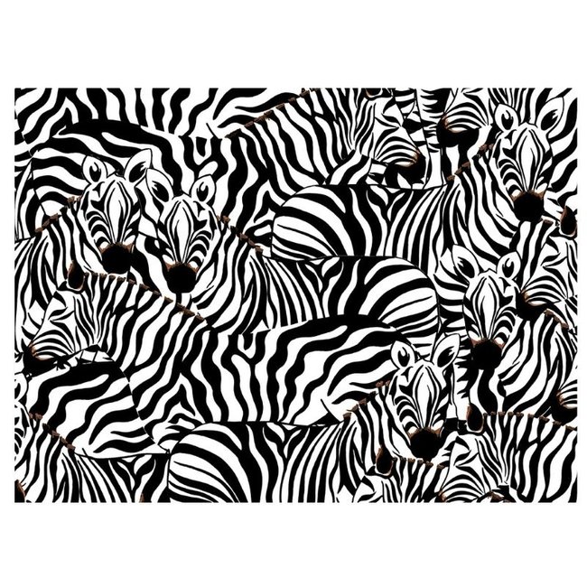 Hummingbird Australia Puzzle Dare To Fly  1000 pcs