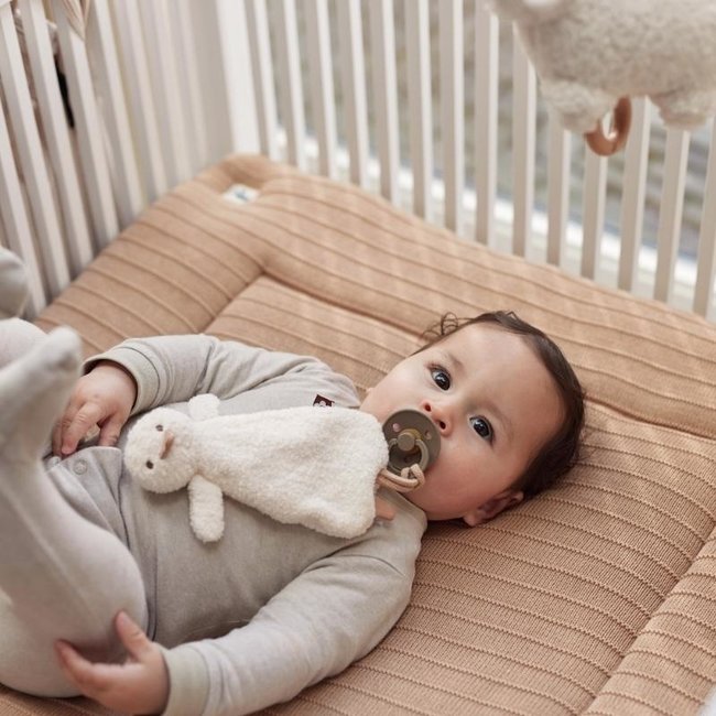 Jollein Schnullertuch Ente Spring Garden