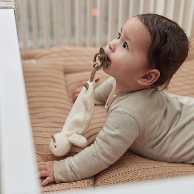 Jollein Schnullertuch Ente Spring Garden