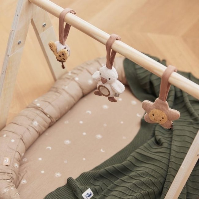 Jollein Babygym Speeltjes Spring Garden