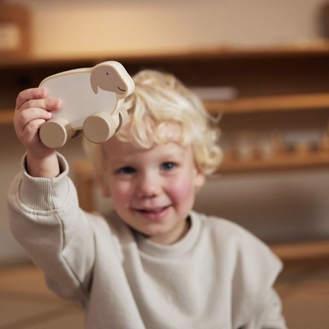 Jollein Houten Auto Schaap Farm