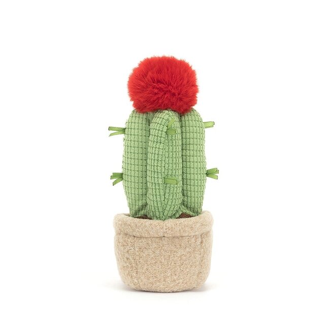 Jellycat Maan Cactus Amuseable Knuffel
