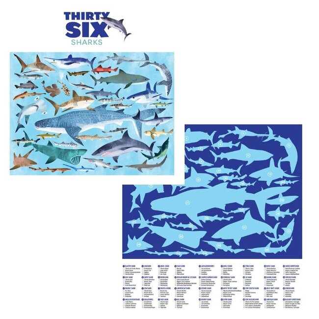 Crocodile Creek Puzzels Puzzle 36 Sharks 100 pc. 5 years+