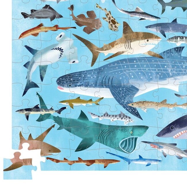 Crocodile Creek Puzzels Puzzel 36 Haaien 100 st. 5 jaar+