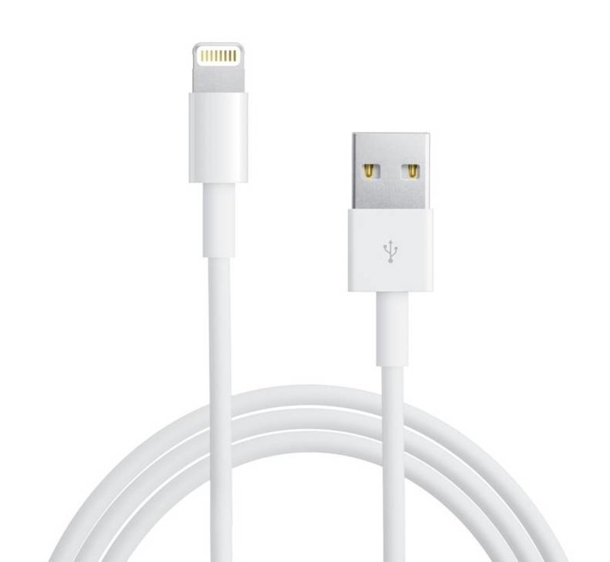 Originele iPad lightning oplaadkabel 2 meter + 12 Watt adapter