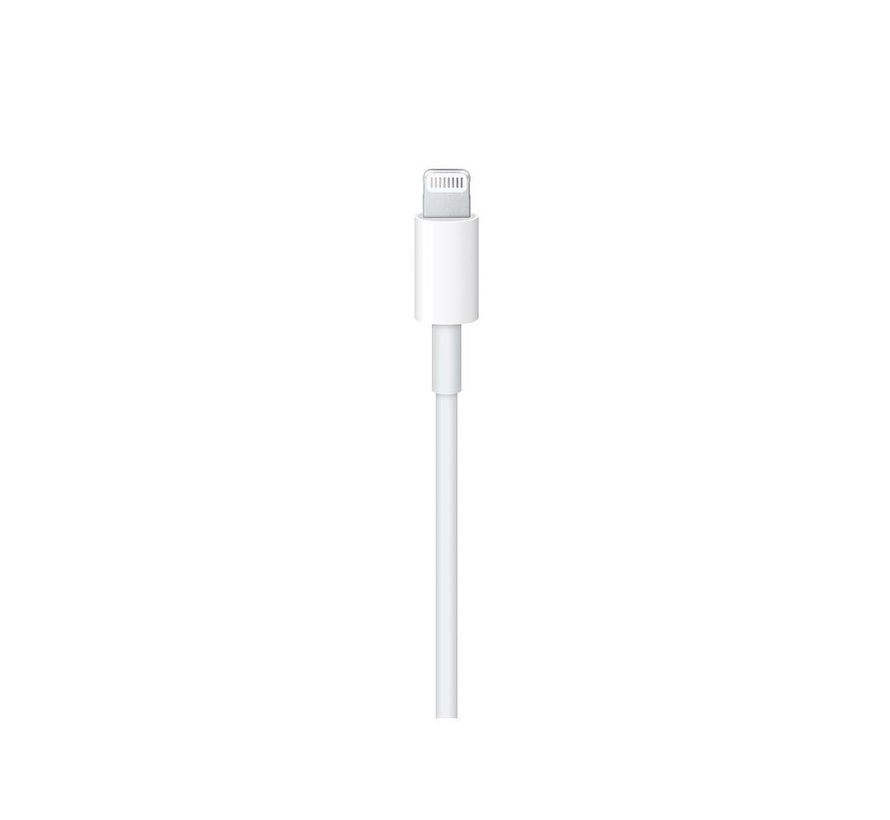 iPhone USB-C Fast Charger 20 Watt + USB-C naar Lightning kabel 2 meter