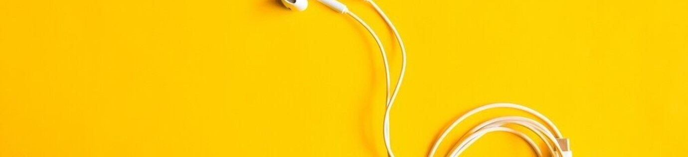 Hoge kosten door goedkope oplader