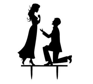 Bruidstopper silhouette aanzoek