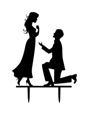 Bruidstopper silhouette  aanzoek