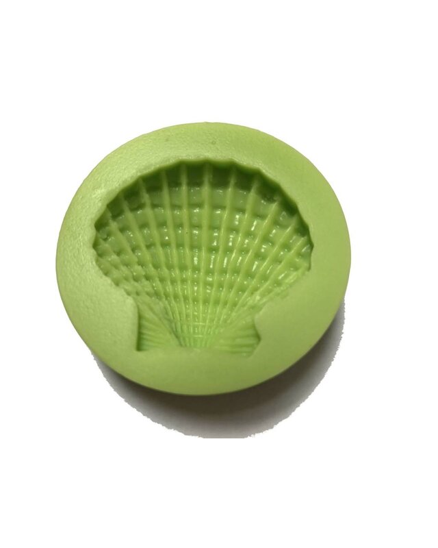 Grote sint jacobs schelp