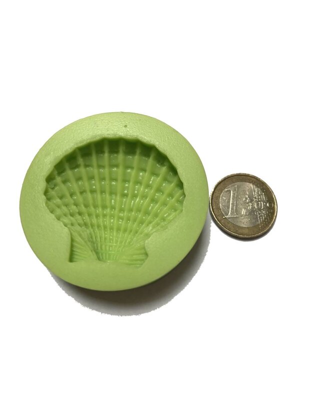 Grote sint jacobs schelp