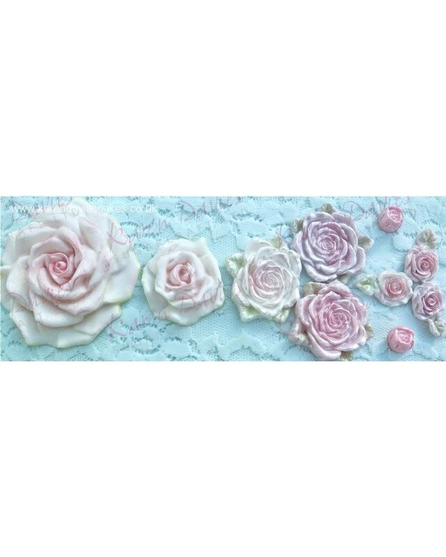 Karen Davies Karen Davies Large Rose