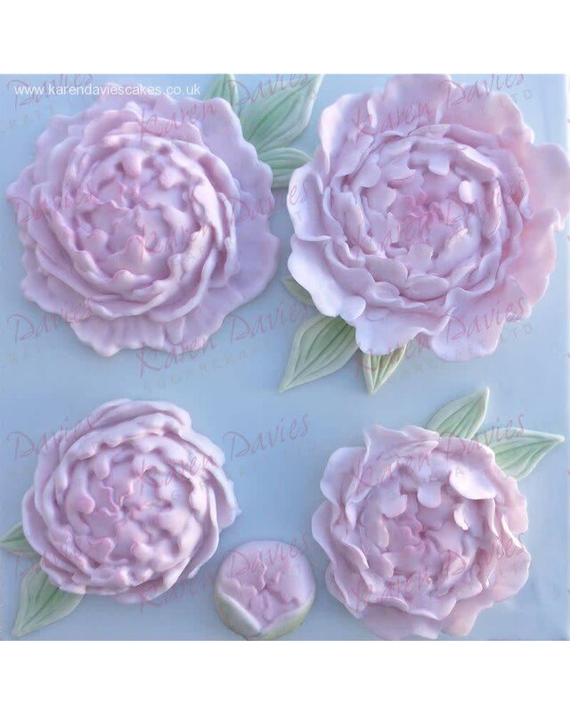 Karen Davies Karen Davies Peony pioenroos