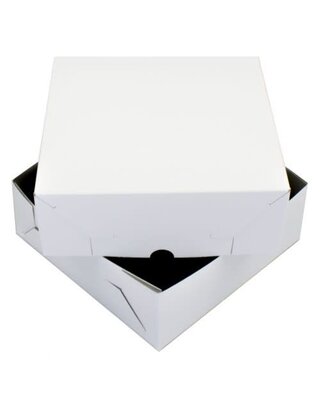 25x25x9cm Taartdoos Zwanenhals. Wit