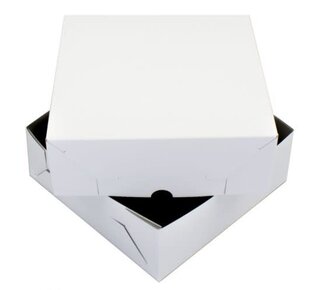 20x20x8cm Taartdoos Zwanenhals Wit