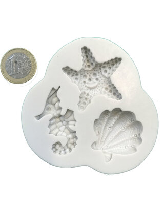 zeester en zeepaardje