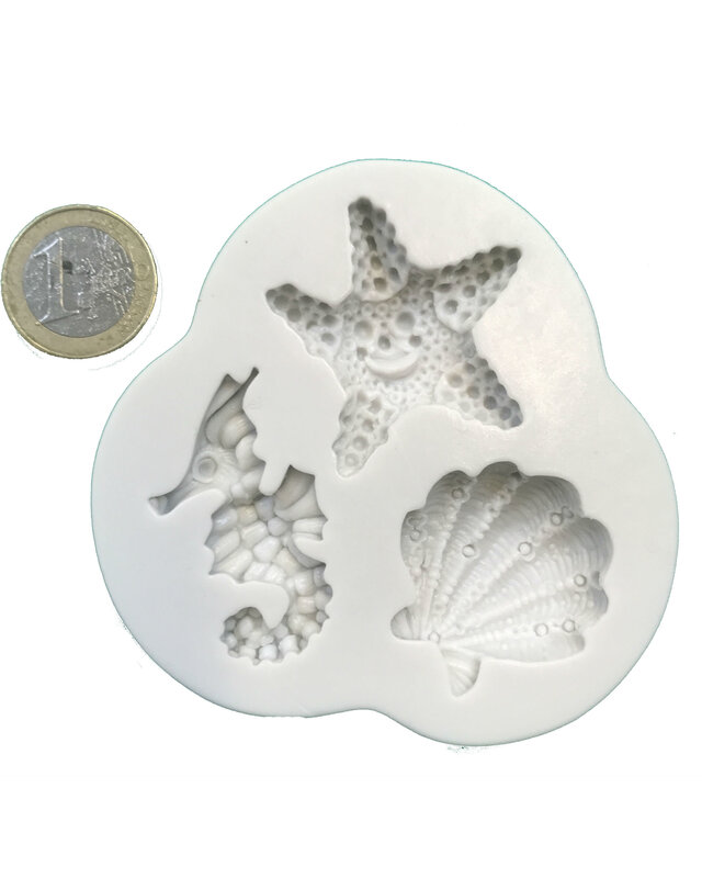 zeester en zeepaardje