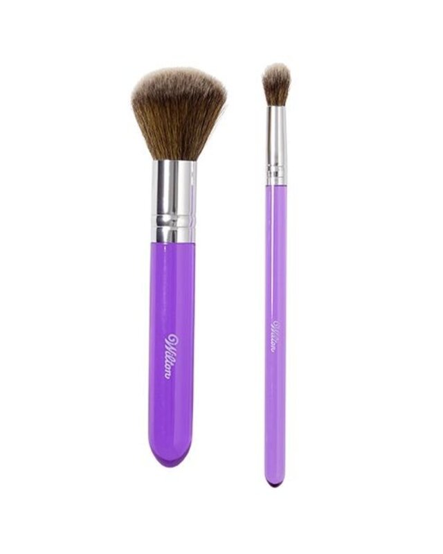 wilton Wilton Dusting Brush Set/2