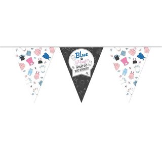 Vlaggenlijn Gender Reveal PE 10m