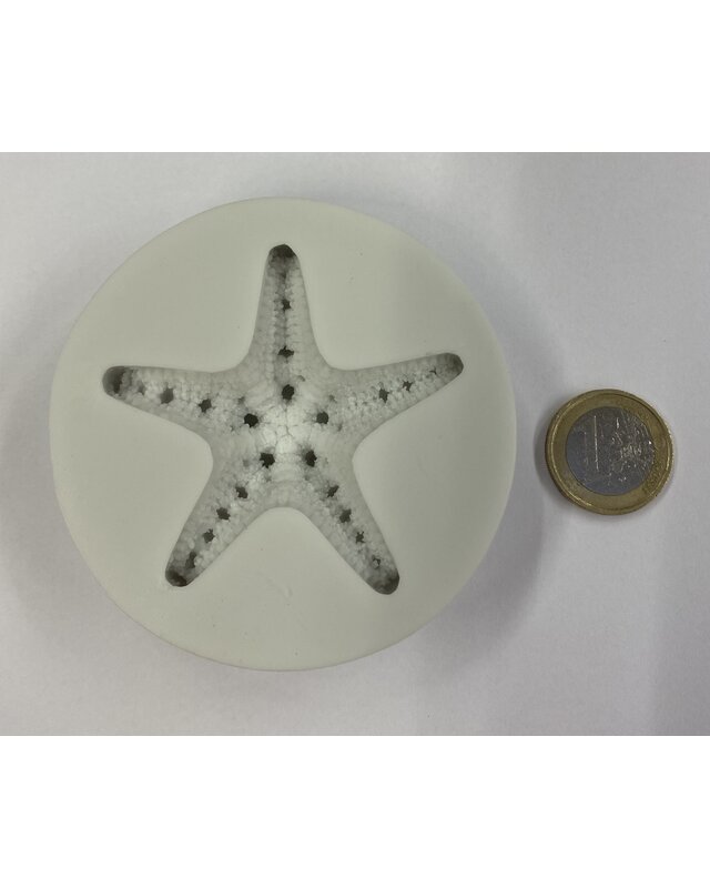 Gehoornde zeester mal