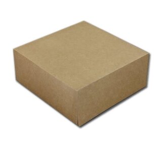 19x19x8cm Taartdoos Kraft E1