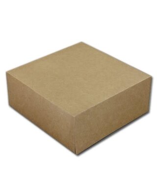 19x19x8cm Taartdoos Kraft E1