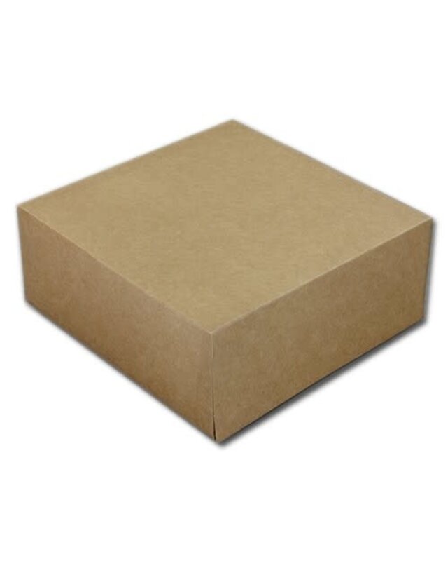19x19x8cm Taartdoos Kraft E1