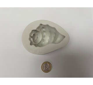 Grote hoorn schelp mal