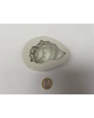 Grote hoorn schelp mal