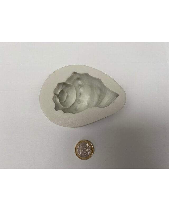 Grote hoorn schelp mal