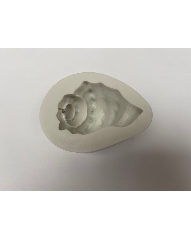 Grote hoorn schelp mal