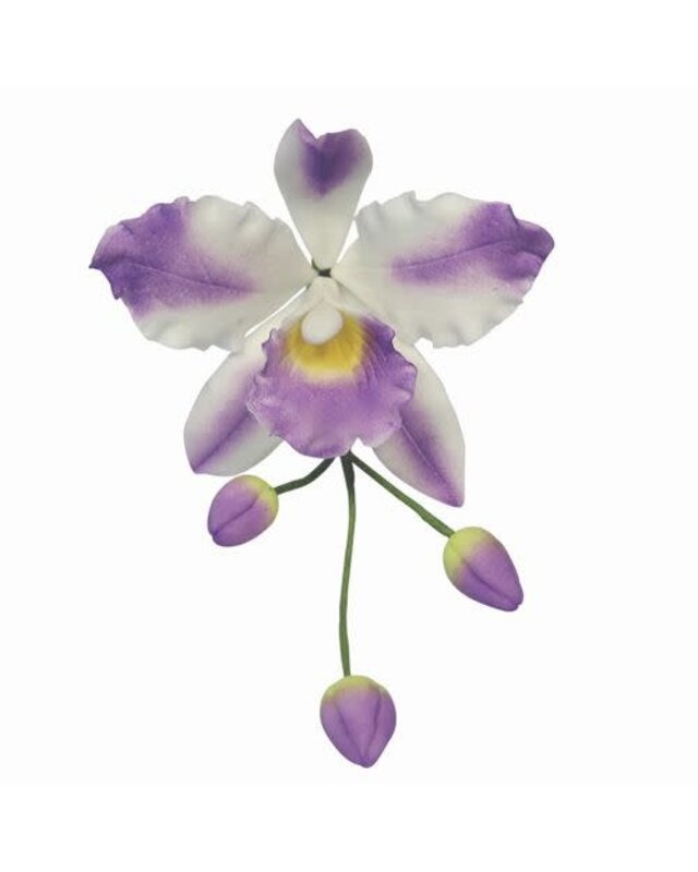 PME PME Uitsteker Set Cattleya Orchidee -3st-