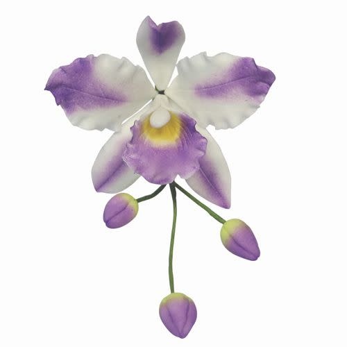 PME PME Uitsteker Set Cattleya Orchidee -3st-