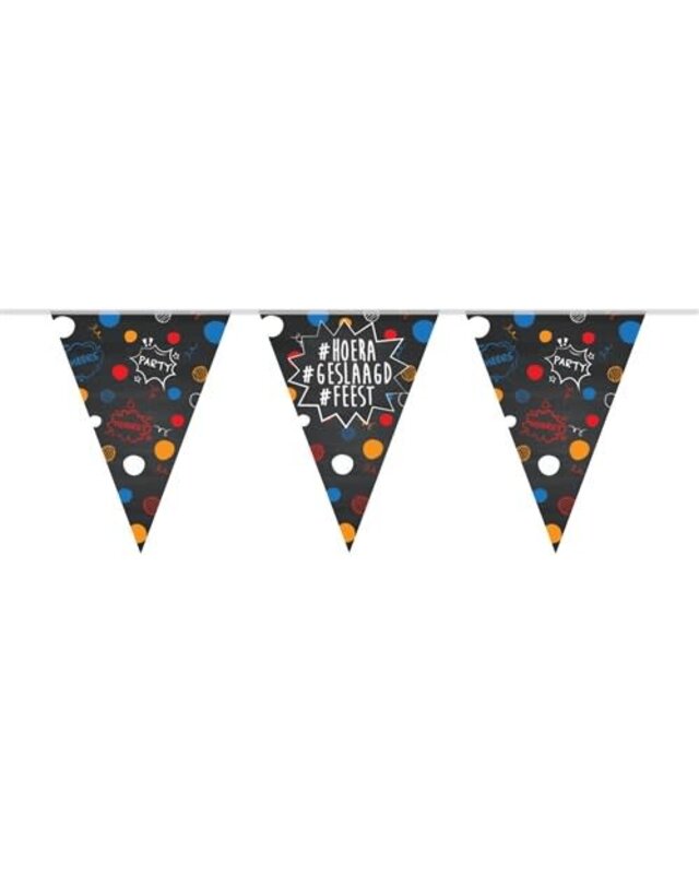 Haza vlaggenlijn geslaagd 10m