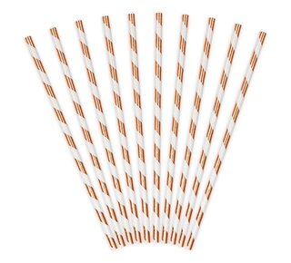 party deco PartyDeco Papieren Rietjes Licht Rosegoud pk/10