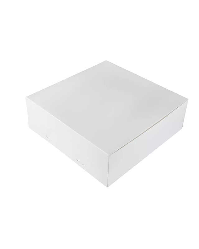 Taartdoos 25x25x10cm G2