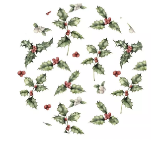 Cakeboard Hulst Rond Extra Stevig Ø25cm