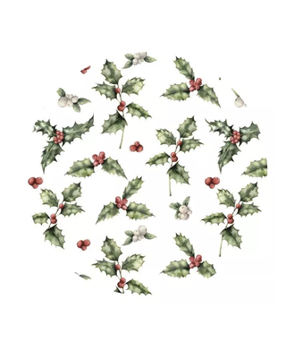 Cakeboard Hulst Rond Extra Stevig Ø25cm