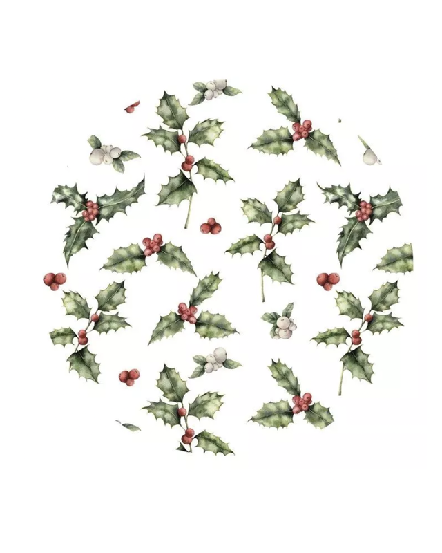 Cakeboard Hulst Rond Extra Stevig Ø25cm