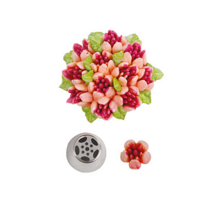 decora Russisch spuitmondje tulp #20