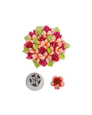 decora Russisch spuitmondje tulp #20