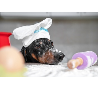 Bakzolder Honden- koekjesmix ( de Bakzolder )