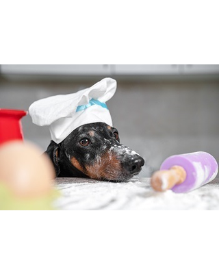 Bakzolder Honden- koekjesmix ( de Bakzolder )