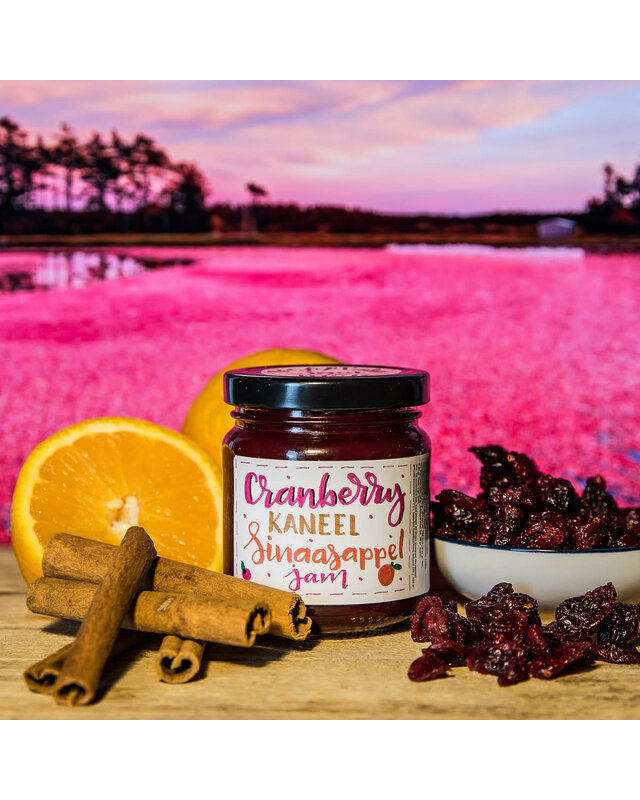 Reggevallei Taartvulling Cranberry-Sinaasappel-Kaneel 250g ( Reggevallei )