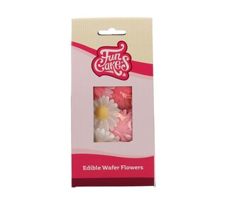 Funcakes FunCakes Eetbare Papieren Bloemen Madelief pk/13