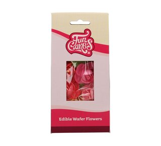 Funcakes FunCakes Eetbare Papieren Bloemen Frangipani & Blaadjes pk/15